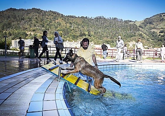 ¡Perro al agua! Las piscinas de Eibar se convierten en un aquapark canino