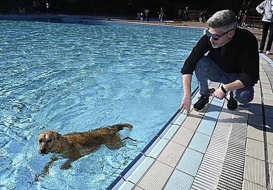 Los perros se adueñan de las piscinas de Eibar