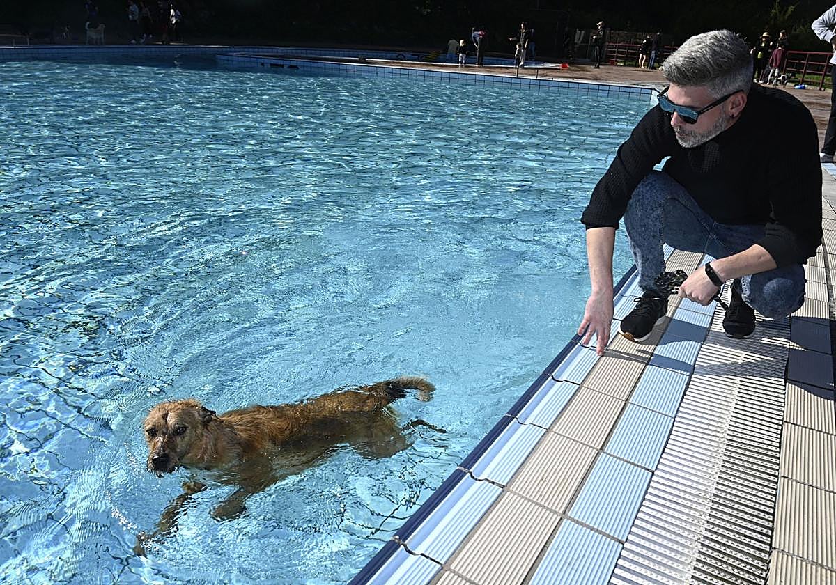 Los perros se adueñan de las piscinas de Eibar