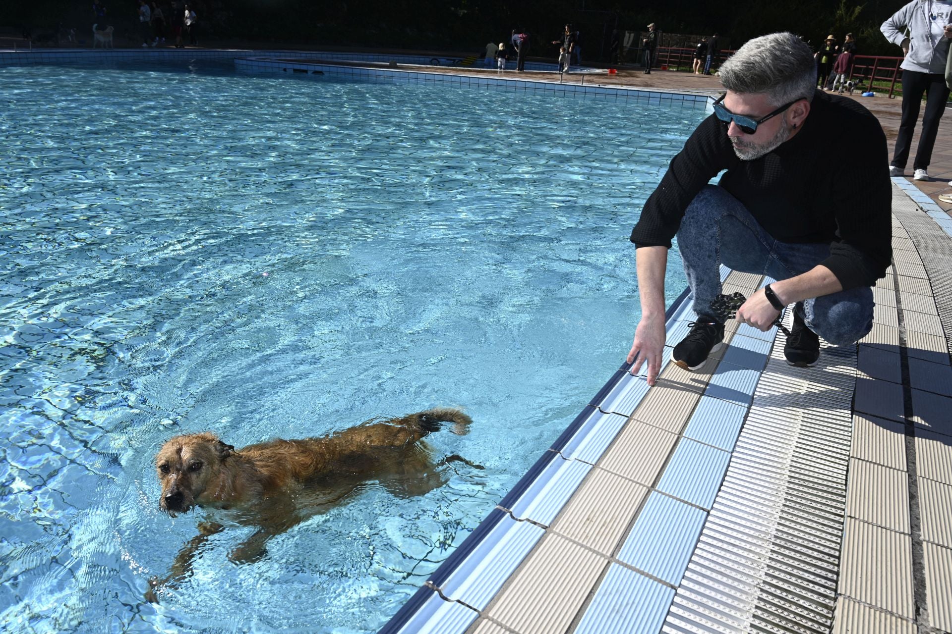 Los perros se adueñan de las piscinas de Eibar
