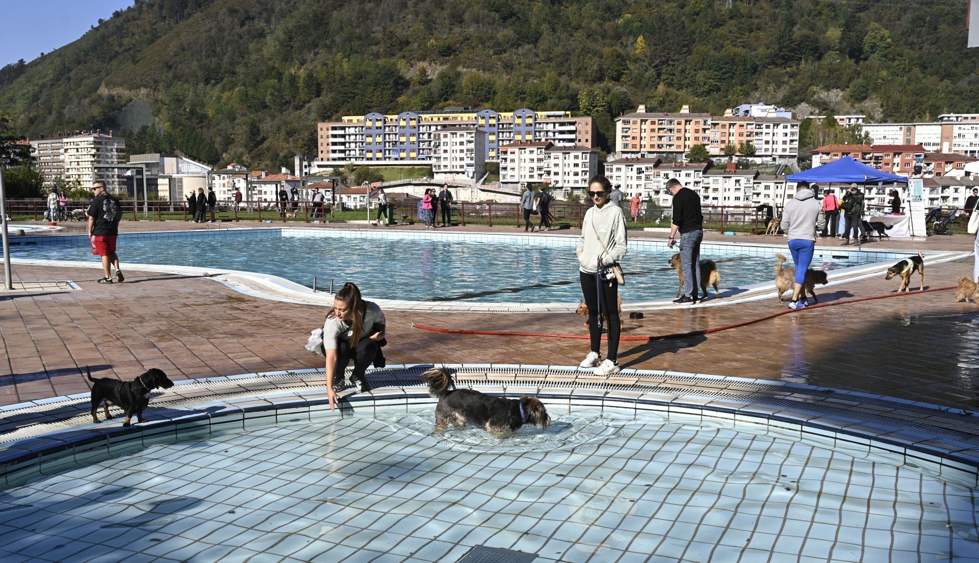 Los perros se adueñan de las piscinas de Eibar