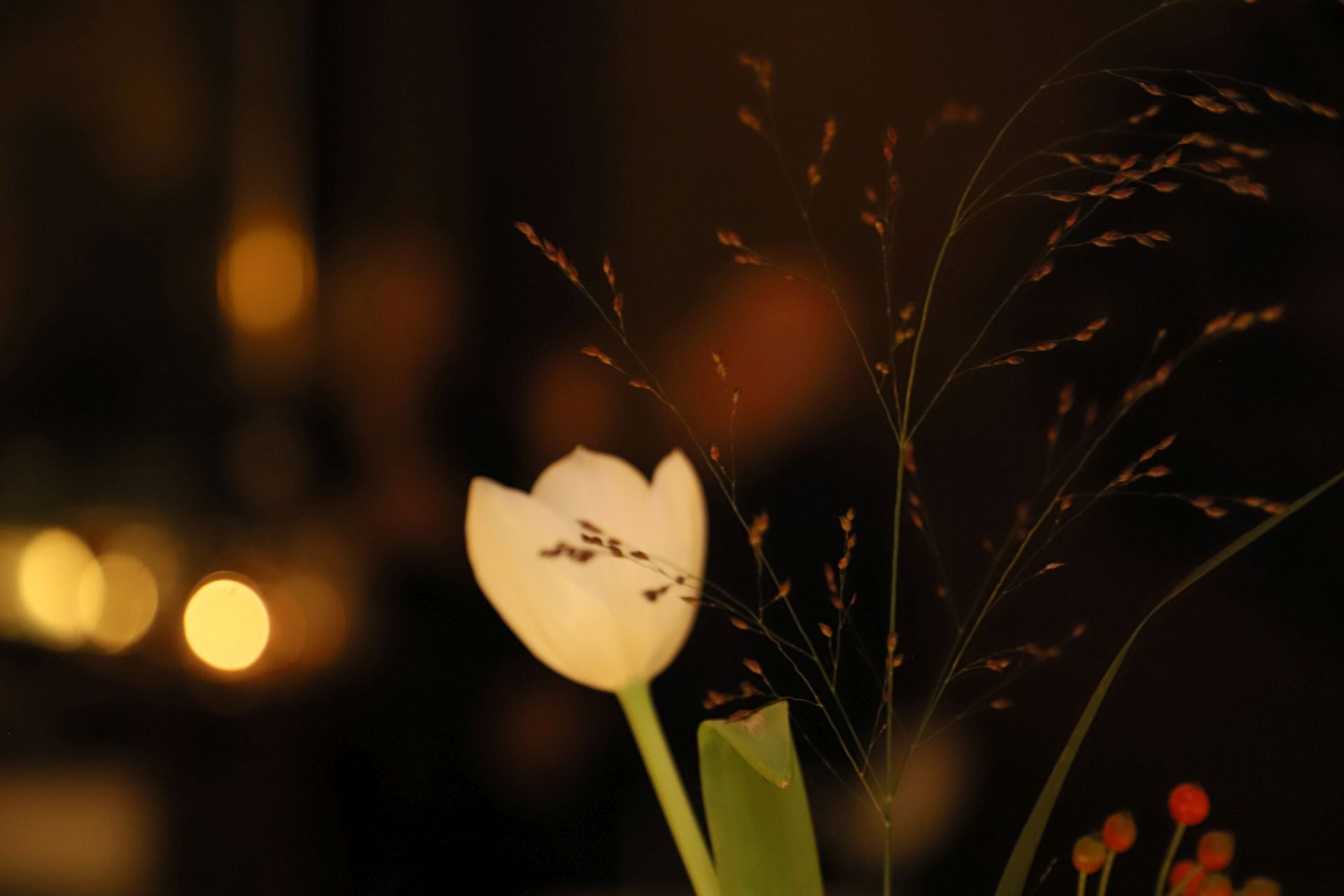 El espectacular &#039;photocall&#039; de la &#039;Opening party&#039; de San Sebastián Moda Festival