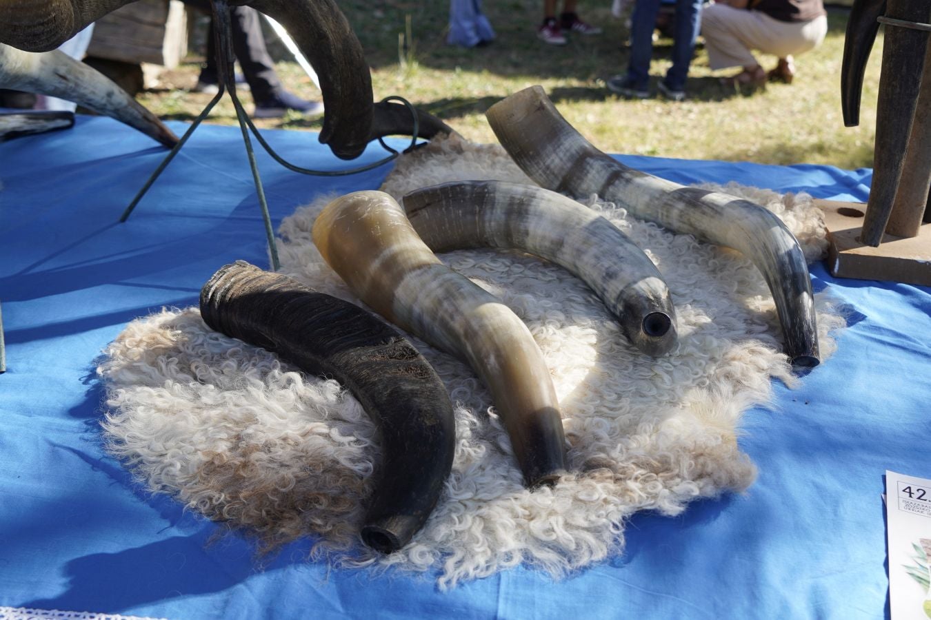 Tradición y sabor en Idiazabal