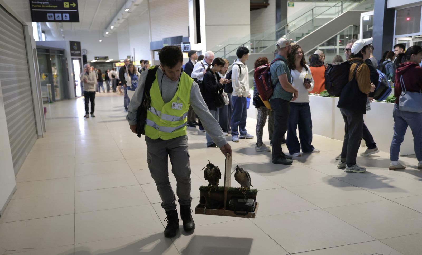 Las deficiencias del aerpuerto de Hondarribia
