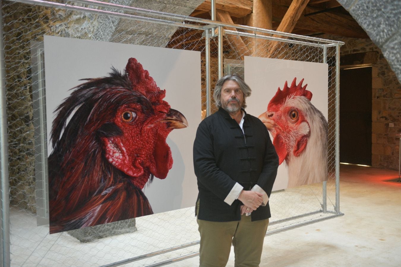 Las gallinas, en el epicentro de Chillida Leku