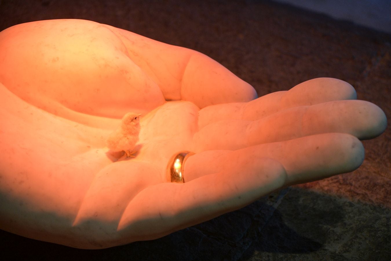 Las gallinas, en el epicentro de Chillida Leku