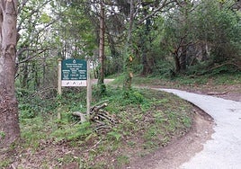 Entre las propuestas se contemplan 300.000 euros para reparación de caminos rurales.