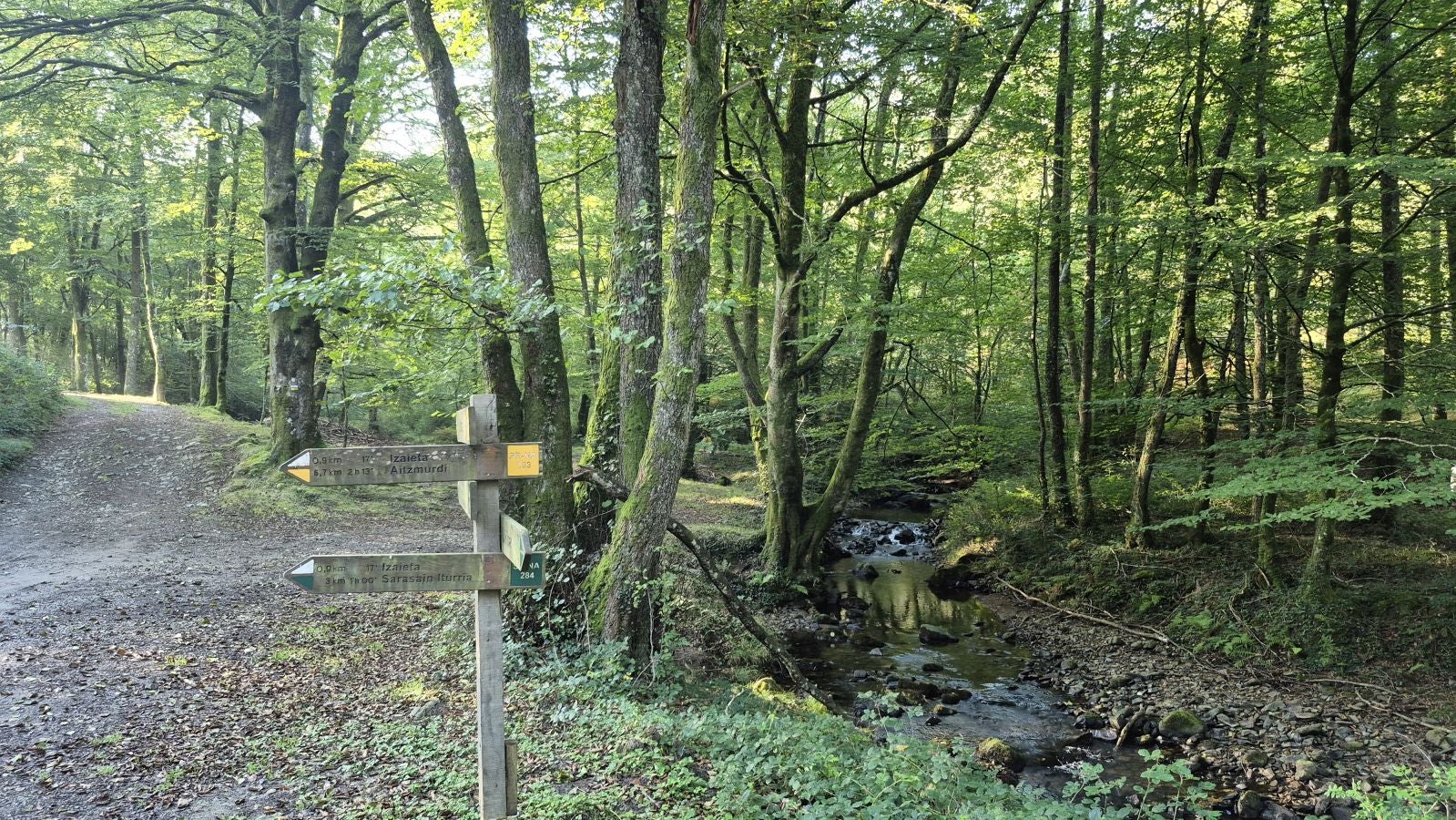 Una discreta cima navarra cobijada por el bosque