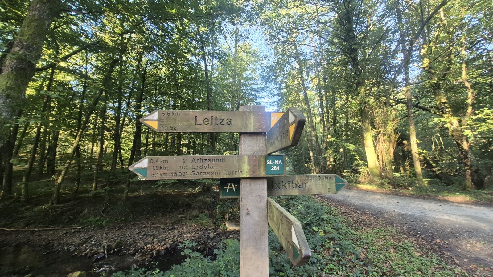 Una discreta cima navarra cobijada por el bosque