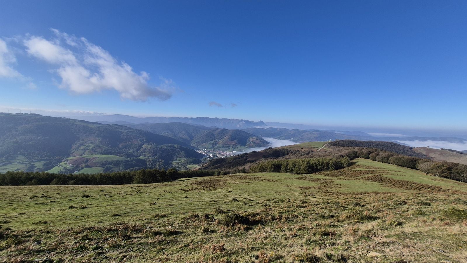 Una discreta cima navarra cobijada por el bosque