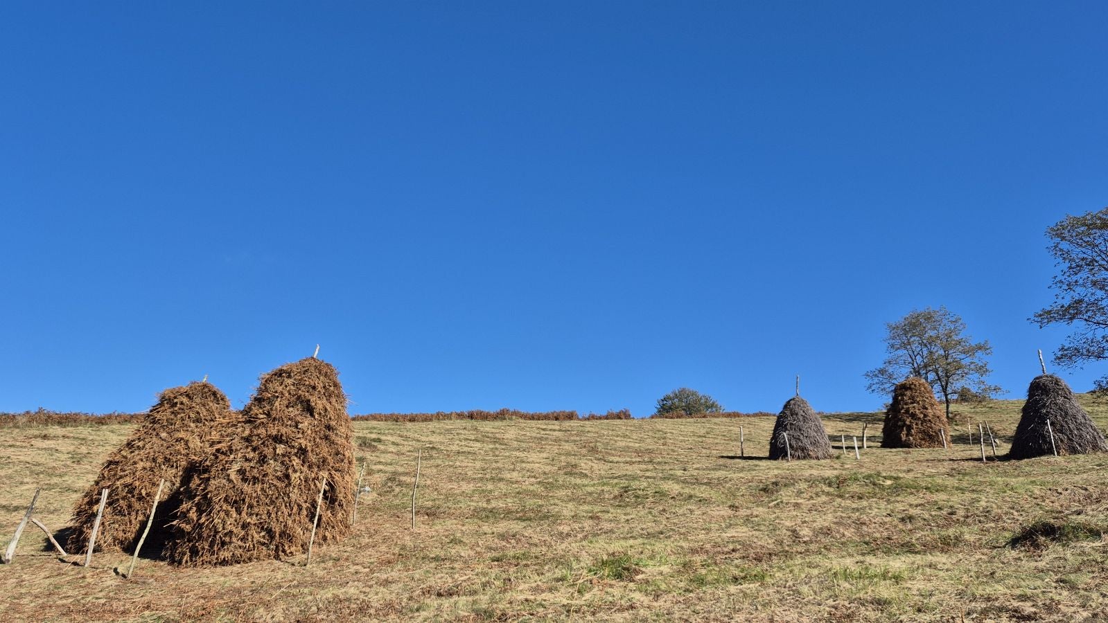 Una discreta cima navarra cobijada por el bosque