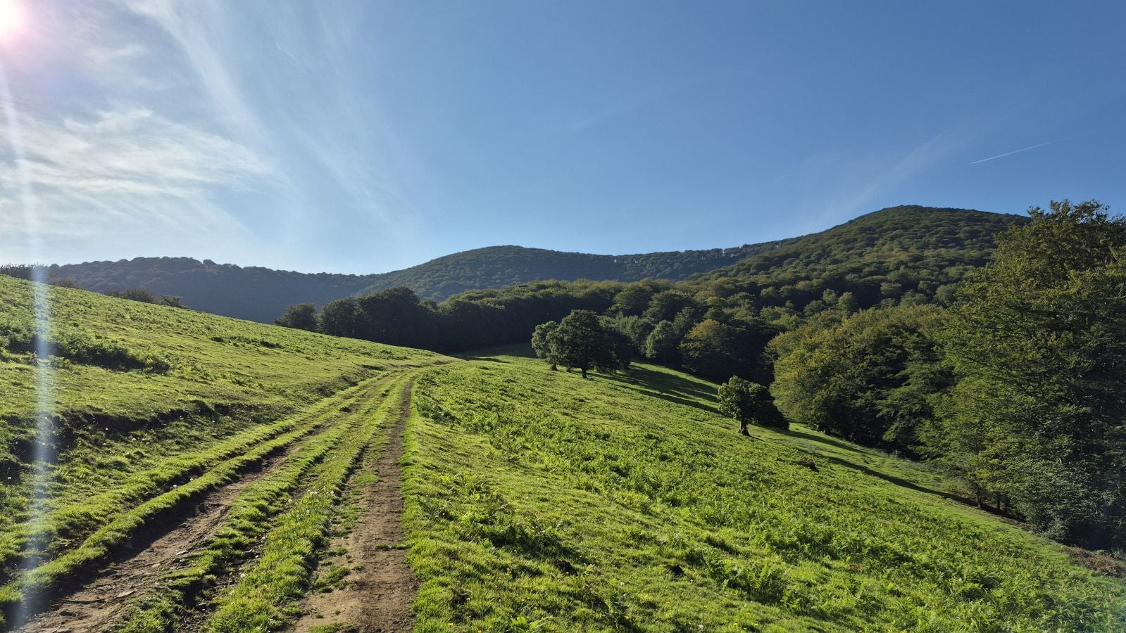 Una discreta cima navarra cobijada por el bosque