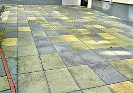 Denuncia Andrea: «El barrio de Txomin Enea está completamente abandonado en cuanto a limpieza se refiere. Esta es la plaza Aierbe, que solo tiene un año y está sucia y llena de verdín. La dejadez municipal es absoluta. Los jardines están llenos de la suciedad que, con el viento, ha salido de los contenedores hace meses. Necesitamos que el barrio se mantenga limpio, para eso pagamos impuestos».