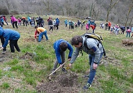 Catalogados 112 árboles de Hernani
