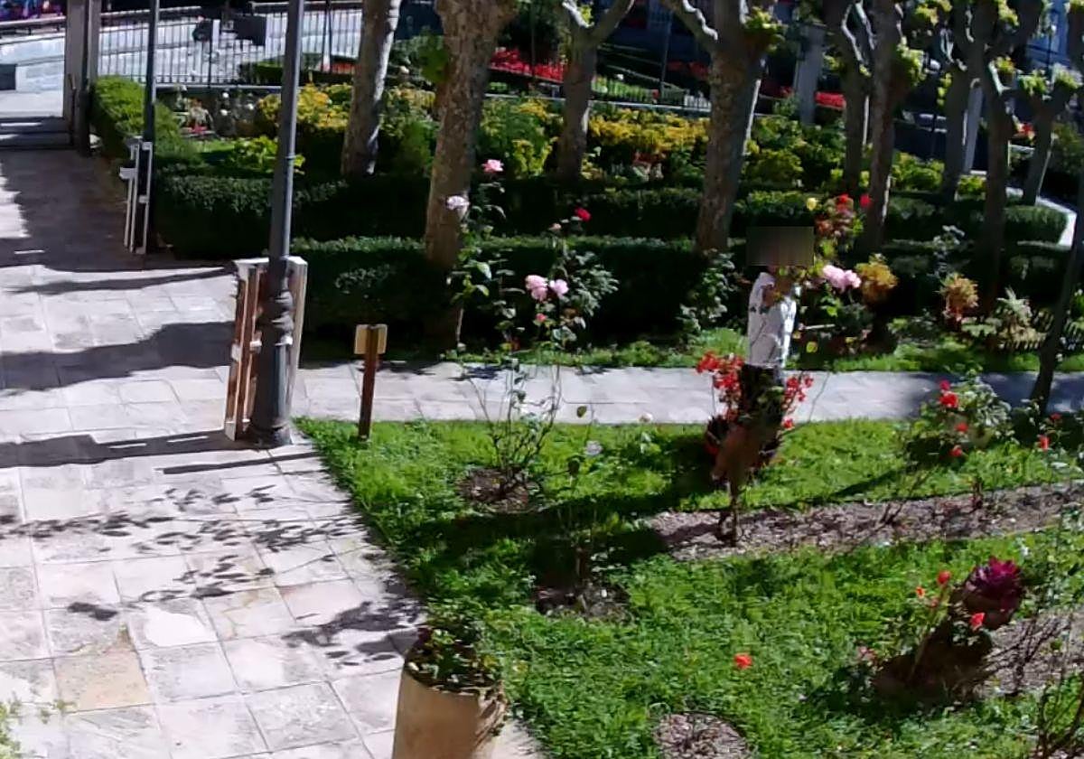 Las cámaras graban a un individuo haciéndose un ramo de flores en el convento de Las Brígidas