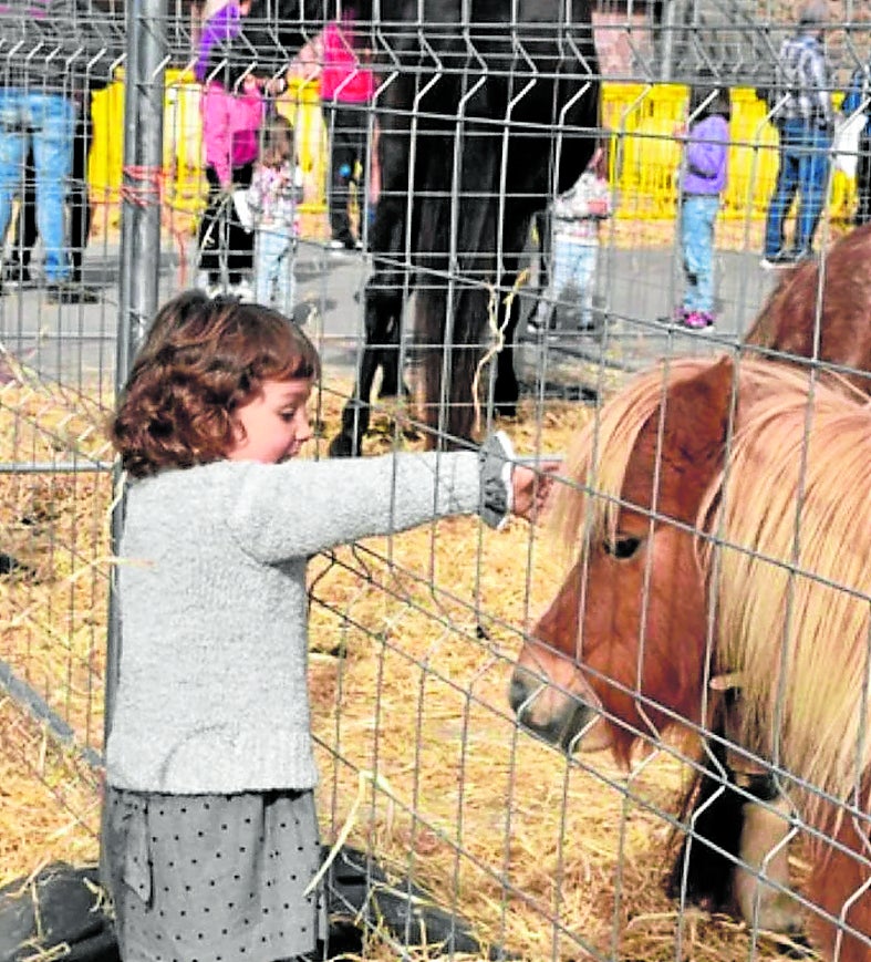 Azoka egunean animalien erakusketa egongo da aurten ere.