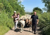 Ana y David, los pastores que recorren los montes con su rebaño mientras crían a su hija de dos años