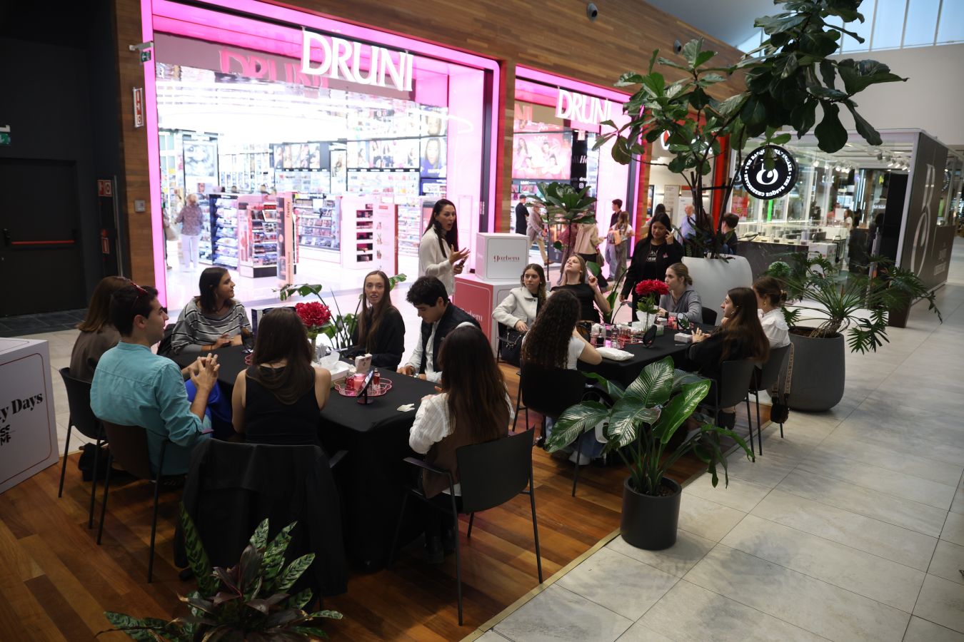 &#039;Beauty Days&#039; en Garbera
