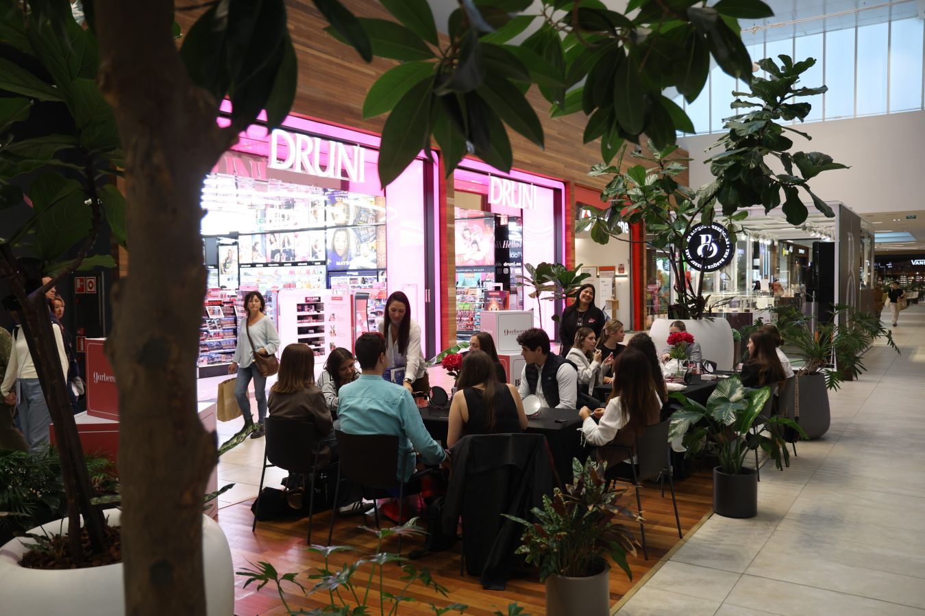 &#039;Beauty Days&#039; en Garbera