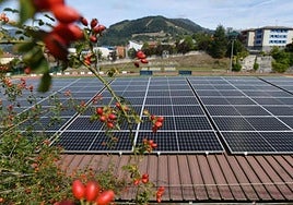 El PSE-EE solicita impulsar «urgentemente» la creación de una comunidad energética ciudadana