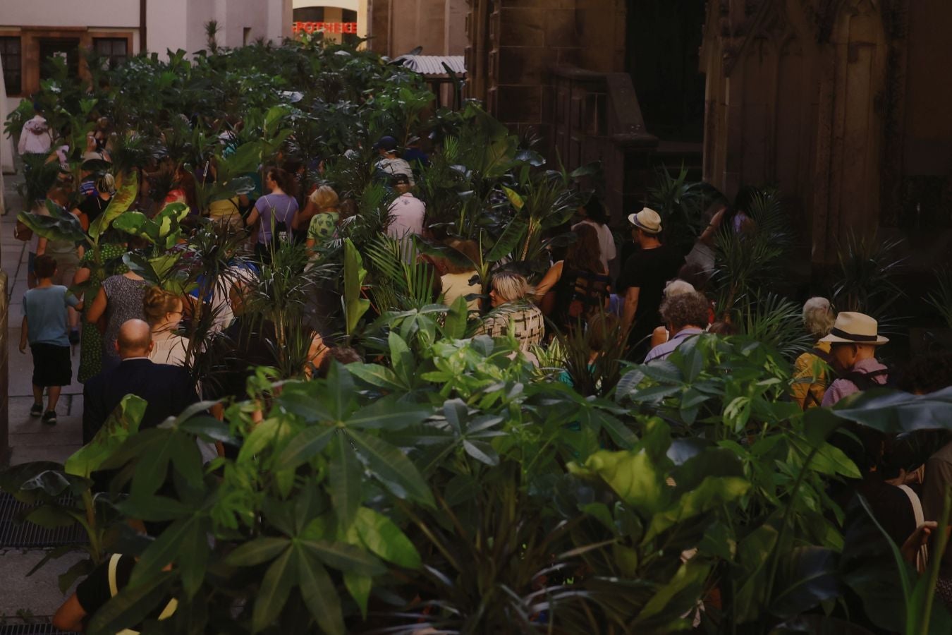 Una década de Maider López