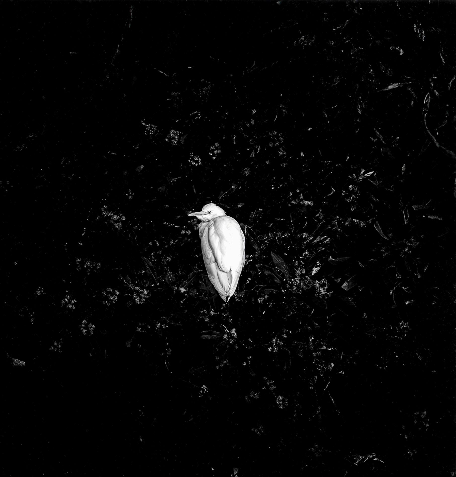 El fotógrafo irundarra, Oskar Gascón Marañon presentó varios trabajos de su colección 'Un, dos, tres'.