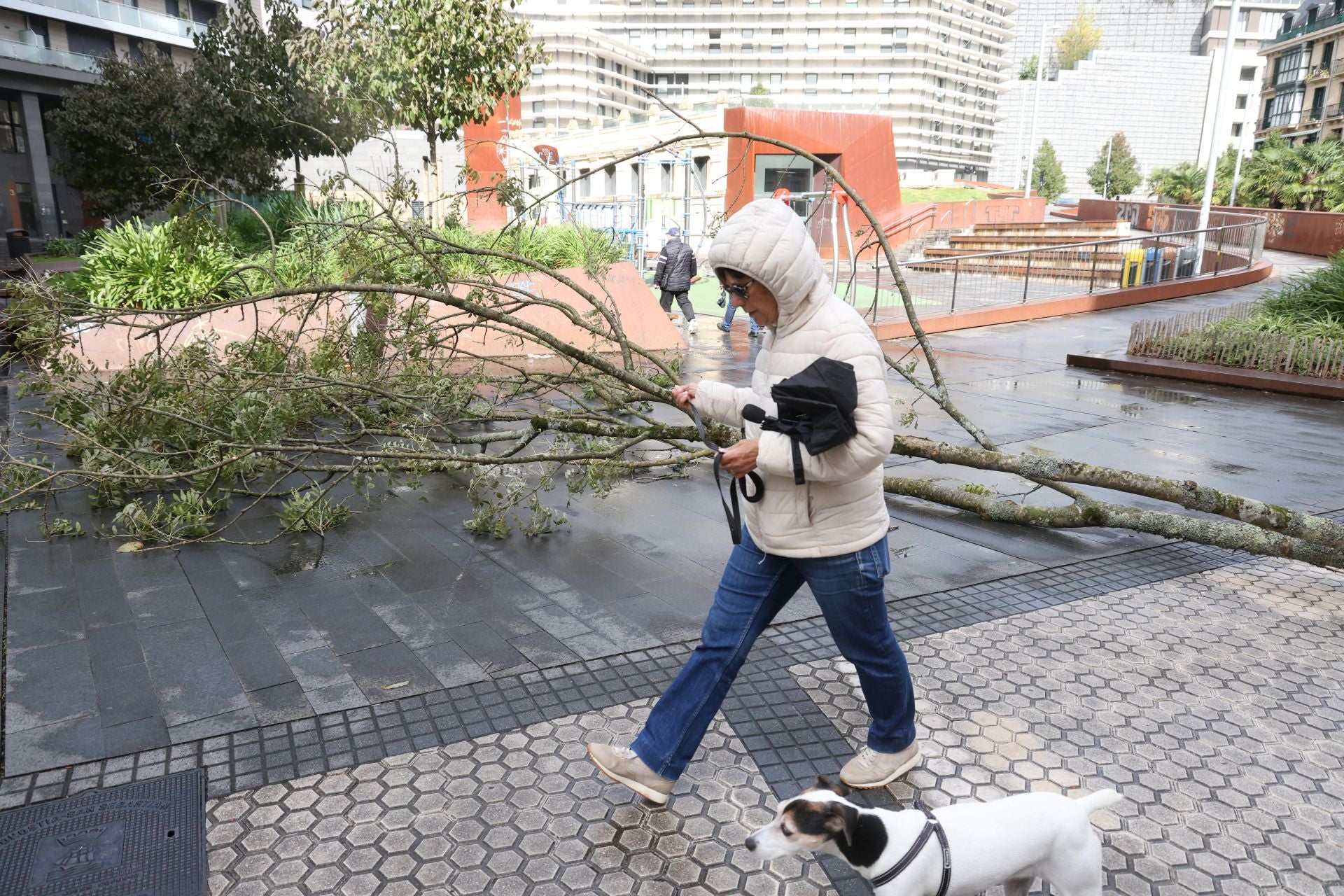 Los desperfectos que ha dejado &#039;Benjamín&#039; en Gipuzkoa