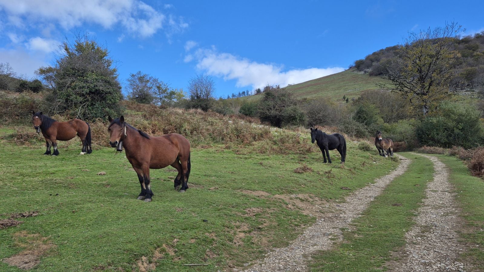 Agaotz, refugio de lamias y gentiles