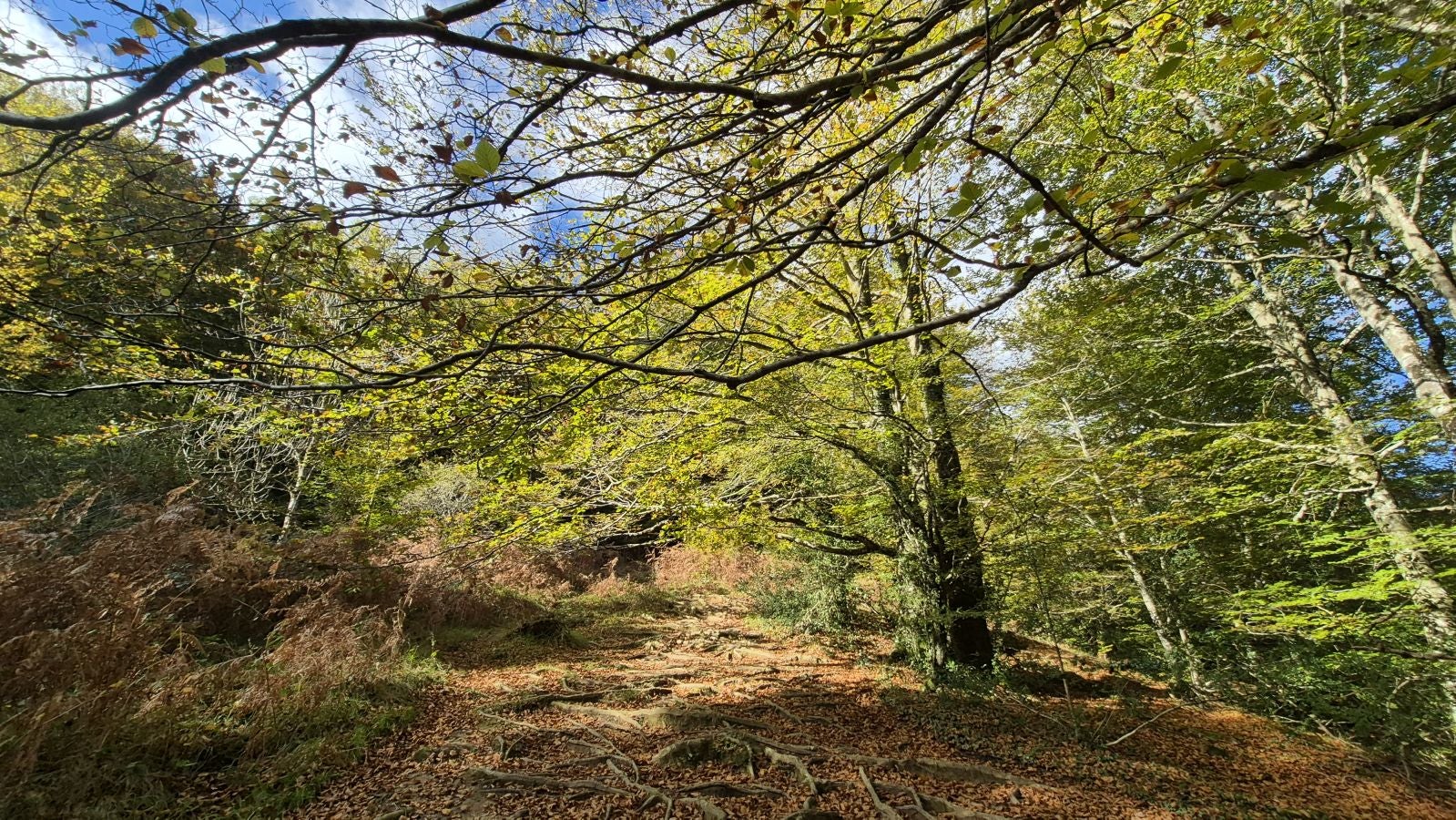 Agaotz, refugio de lamias y gentiles