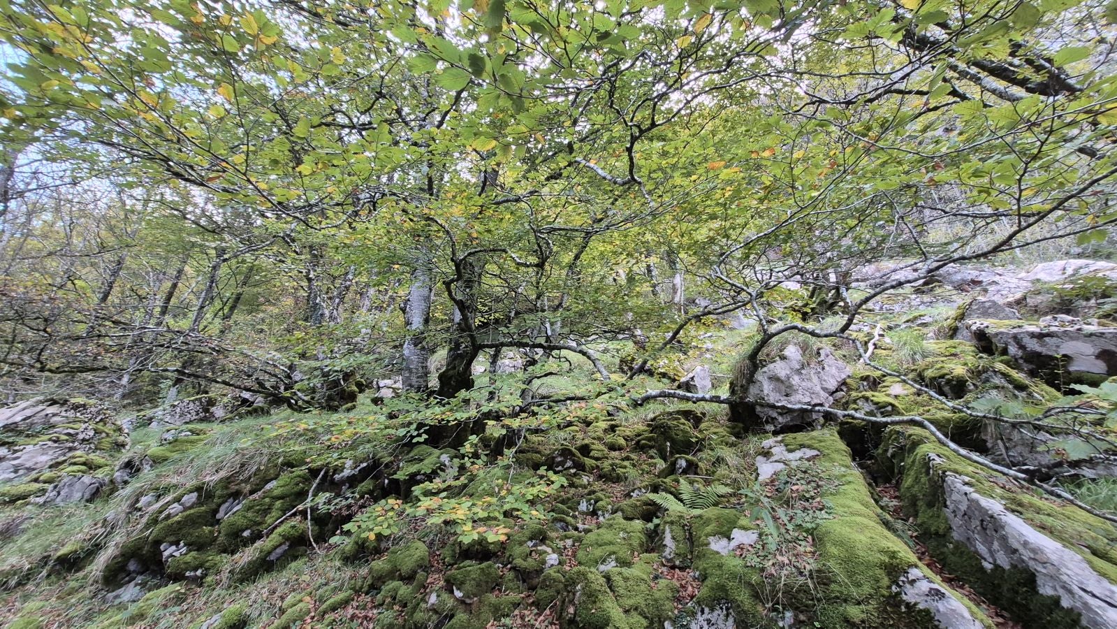 Agaotz, refugio de lamias y gentiles