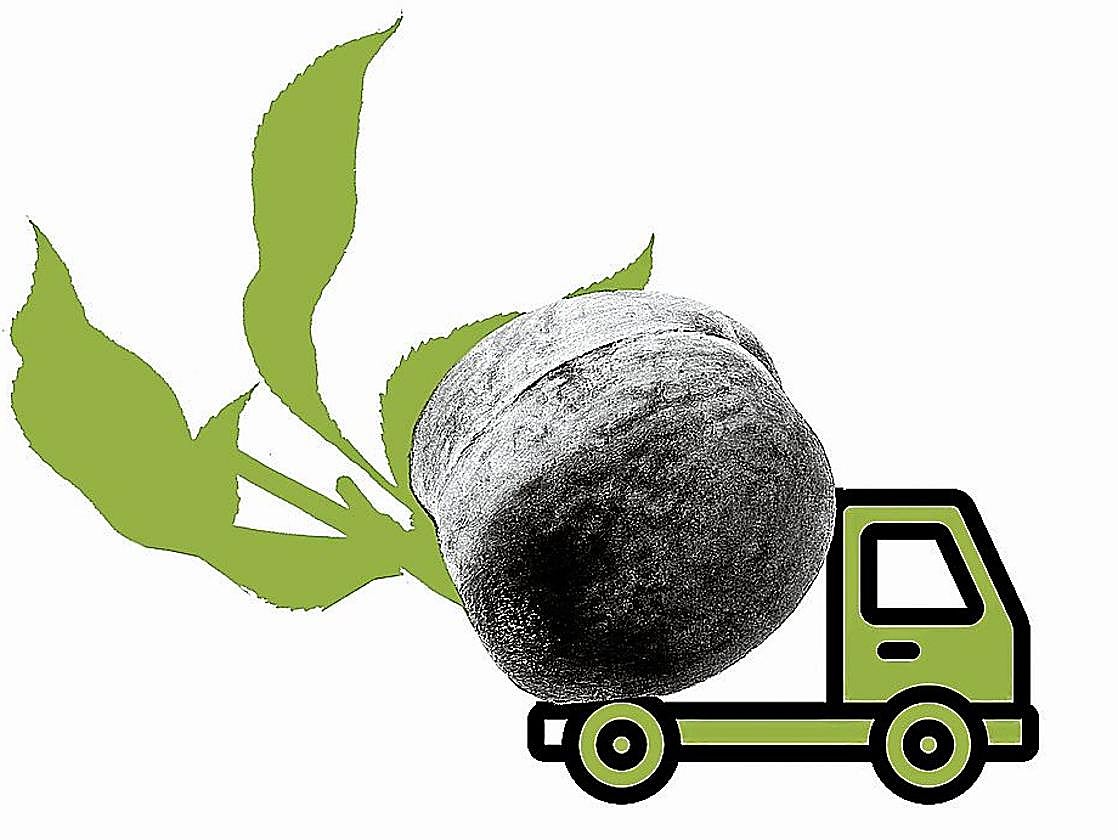 ¡Viva Calanda, viva la libertad!