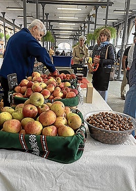 Gran oferta de manzana y fruta del pais en el Zerkausi.
