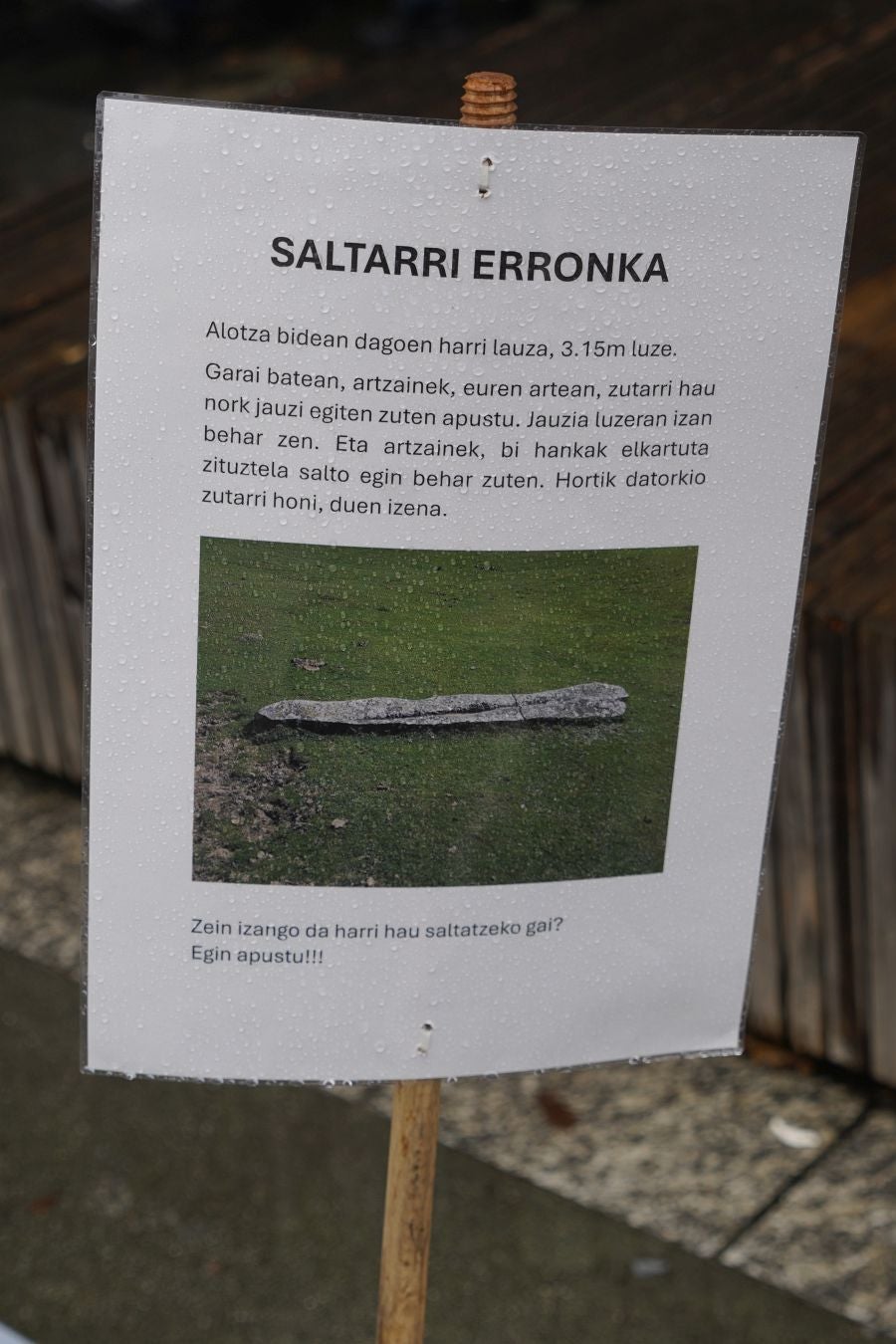 Ardiki egun bikaina Zaldibian