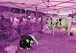 Arazoei aurrea hartu, arriskuak gutxiagotu