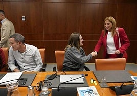 La parlamentaria de EH Bildu Eraitz Sáez de Egilaz saluda a la consejera María Jesús San José en una comparecencia en comisión