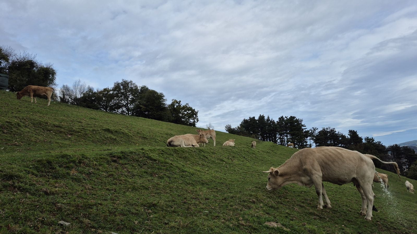Burunda, el monte que fue testigo de grandes citas deportivas de la &#039;Belle Époque&#039;