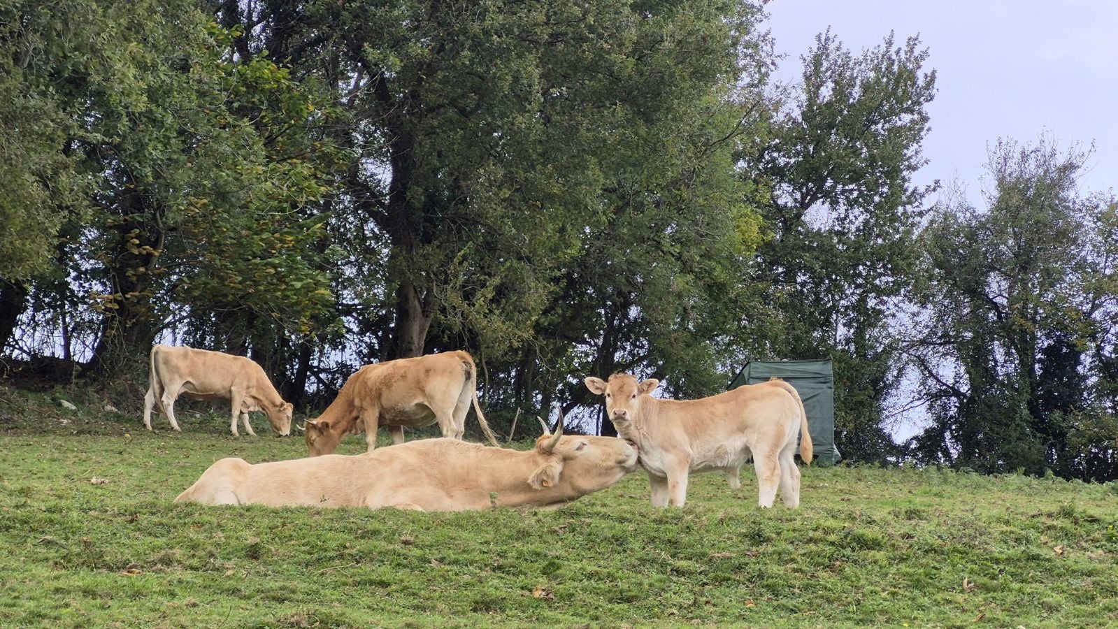 Burunda, el monte que fue testigo de grandes citas deportivas de la &#039;Belle Époque&#039;