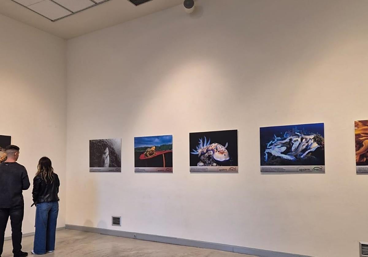 Una pareja disfrutando de la exposición.