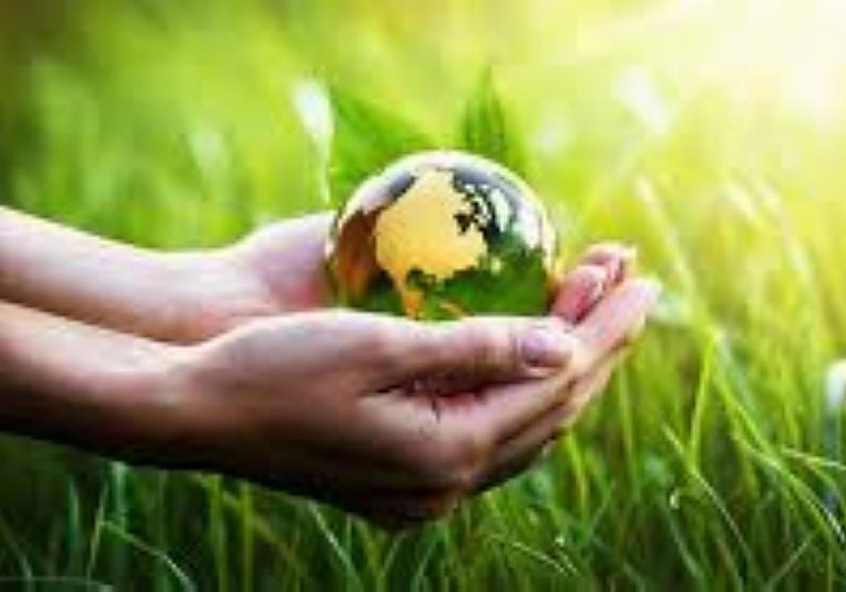 Nueva mirada al carbono como oportunidad estratégica