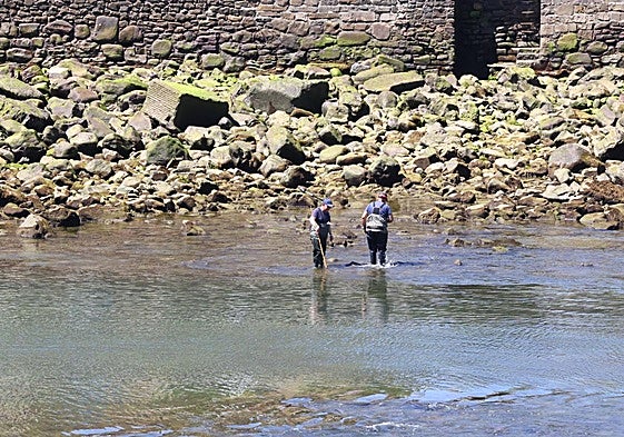 Trece proyectos votados por los donostiarras tendrán partida en los Presupuestos