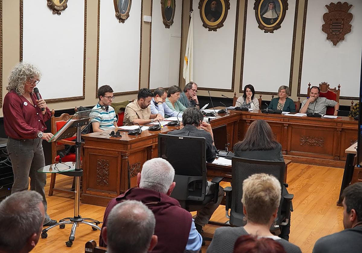 Miembros de la plataforma Errespetatu Andoain en la lectura de la moción presentada en el Pleno.