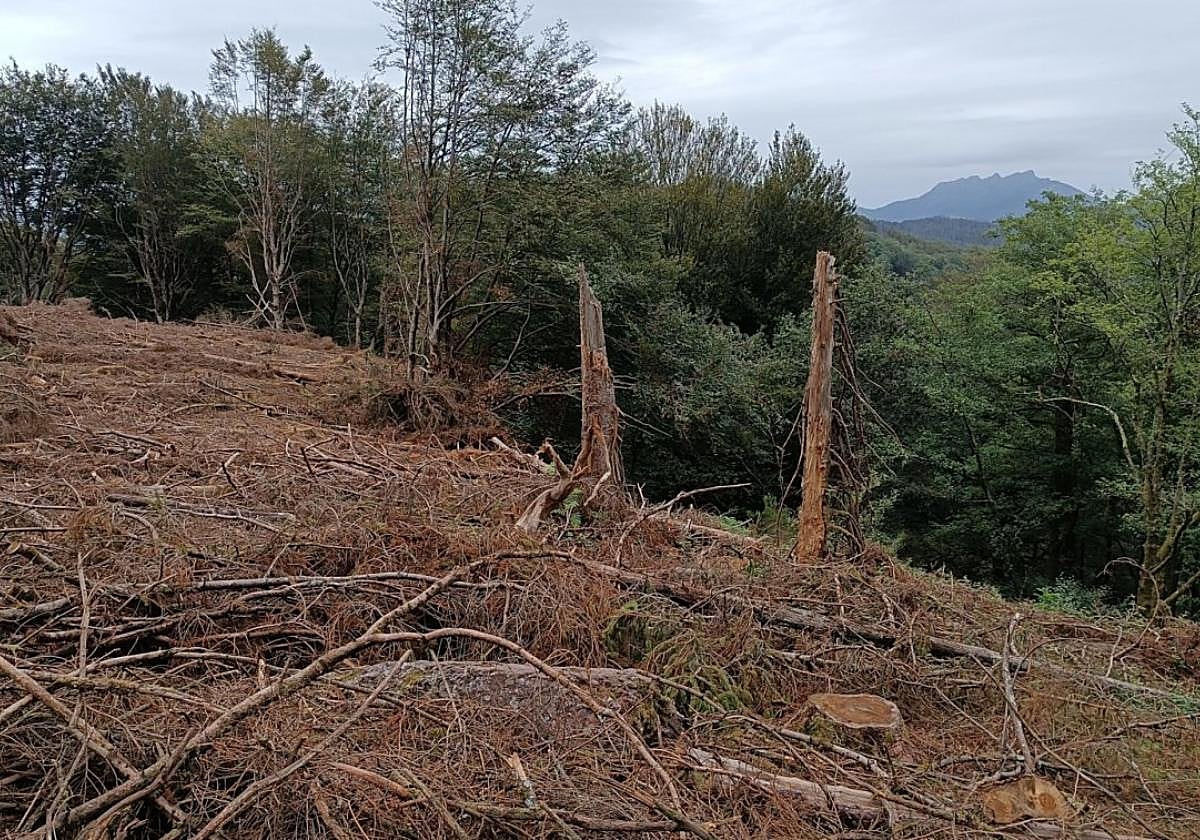 Los rastros de los trabajos realizados son visibles en Añarbe.