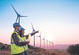 Energías renovables y empleo verde: millones de nuevos puestos de trabajo hacia 2050