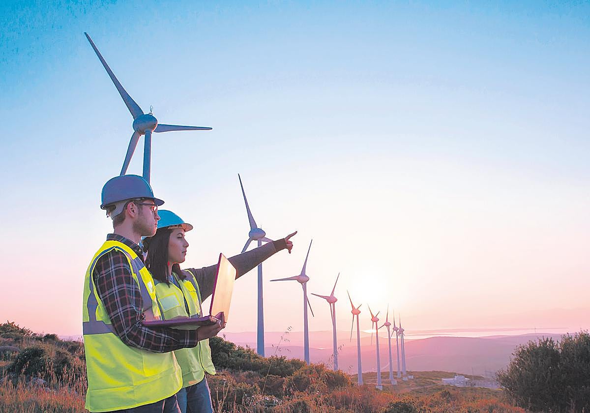Energías renovables y empleo verde: millones de nuevos puestos de trabajo hacia 2050