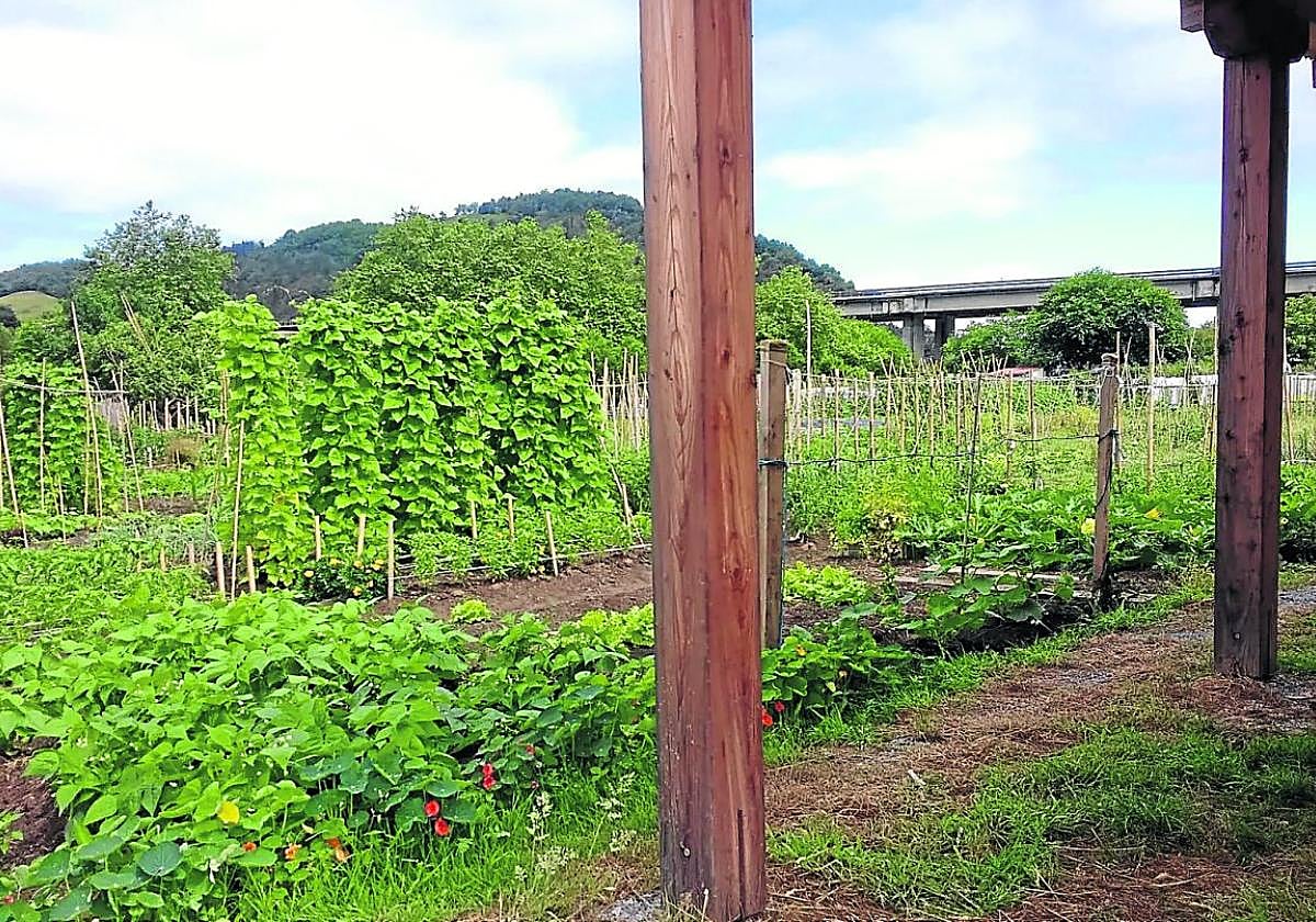 Orio cuenta con 45 parcelas de 40 m2 en la zona de Palota.