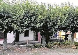 Euskadi pedirá a las colonias una «declaración responsable» tras el escándalo de Bernedo