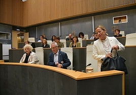 Eider Mendoza y su teniente de diputada general, José Ignacio Asensio, en un pleno esta semana.