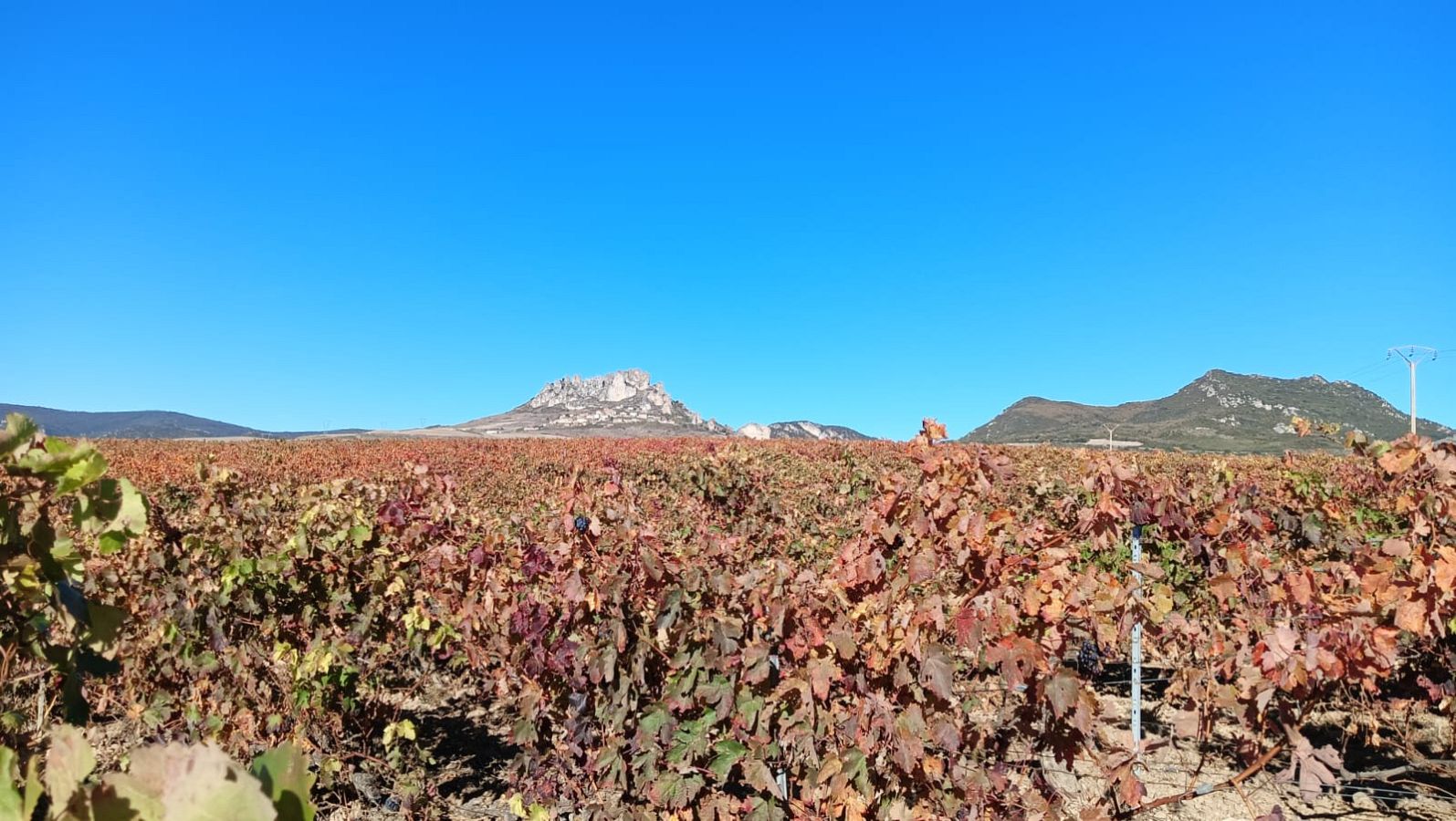 Cellorigo, un vistoso rincón de La Rioja