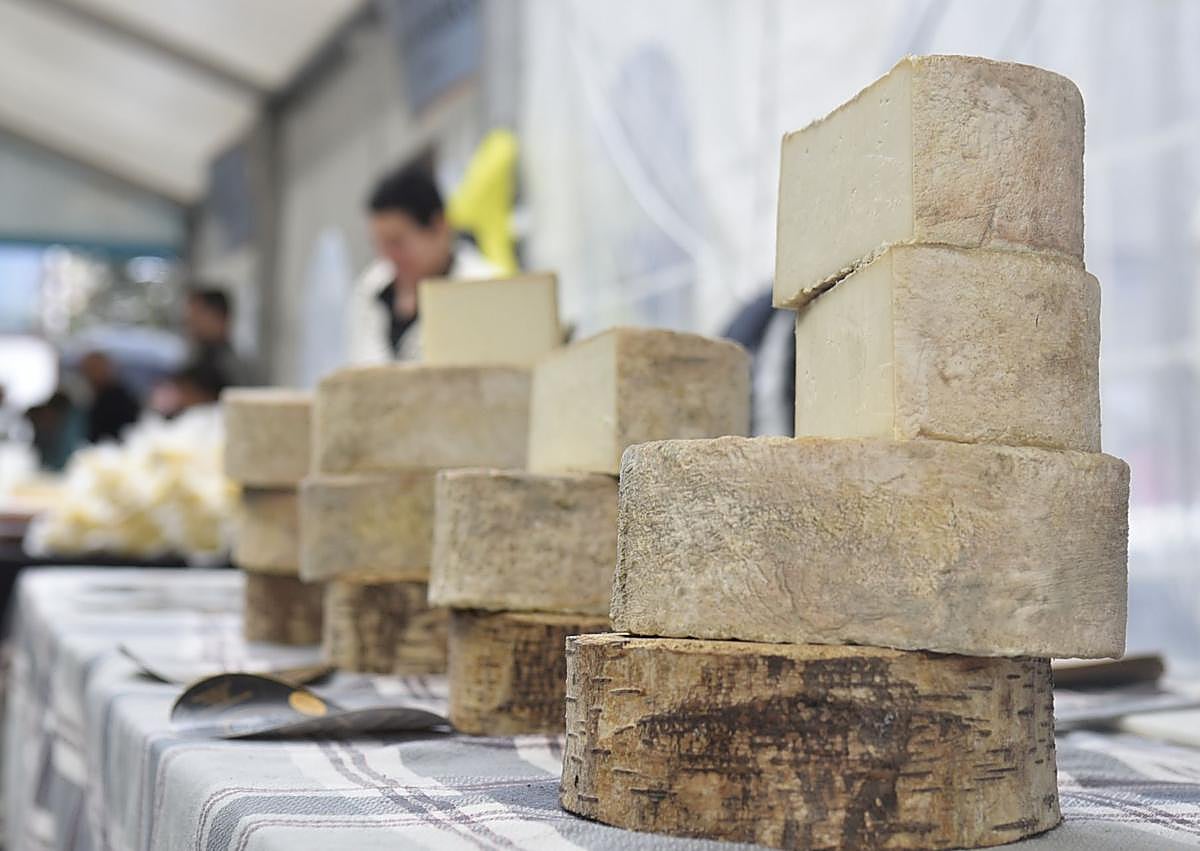 Imagen secundaria 1 - Los mejores quesos de Euskal Herria se muestran en Tolosa