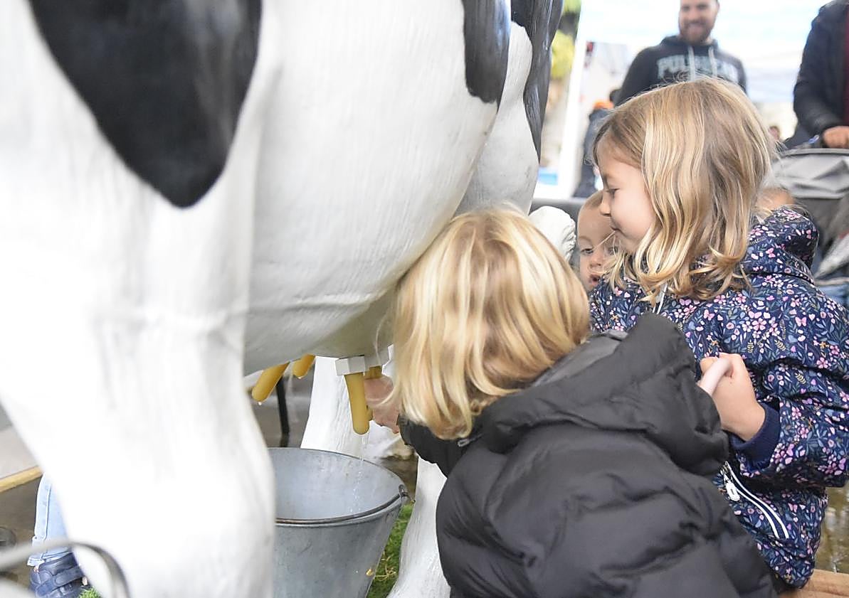 Imagen principal - Los mejores quesos de Euskal Herria se muestran en Tolosa